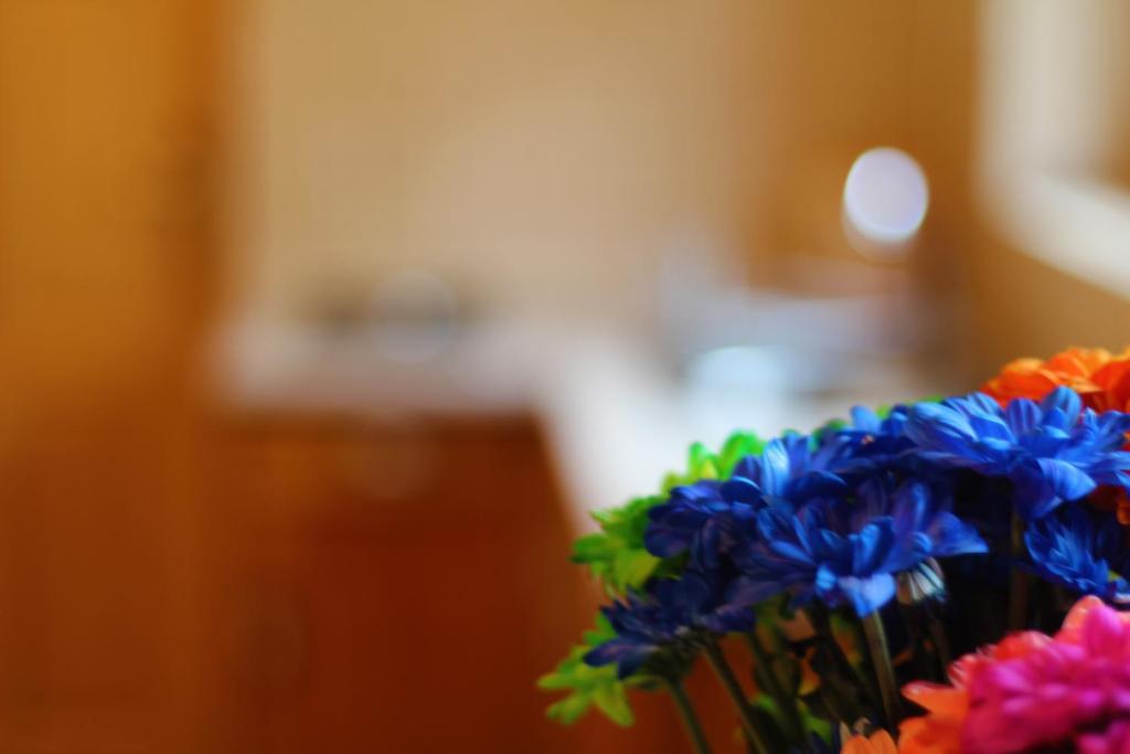 Zakatek Pod Smrekami Acomodação com café da manhã Kościelisko Quarto foto
